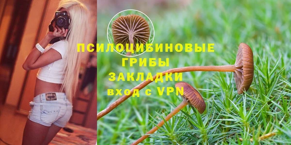 гидра Санкт-Петербург