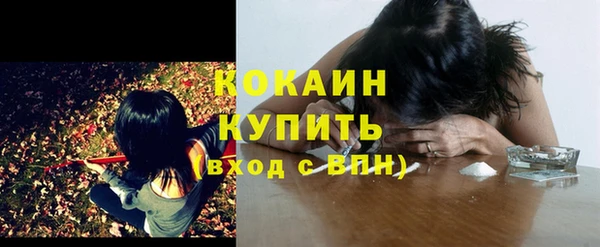 винт Пестово