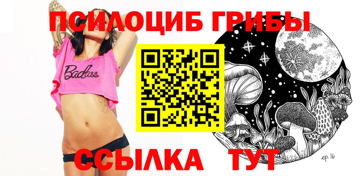 Псилоцибиновые грибы GOLDEN TEACHER  Галлюциногенные грибы Cubensis  Вход с VPN  где купить наркоту  Альметьевск 
