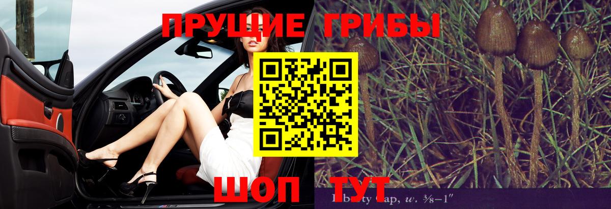 Галлюциногенные грибы GOLDEN TEACHER Альметьевск