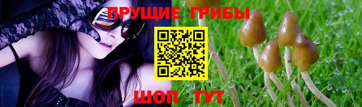 Псилоцибиновые грибы мицелий Альметьевск